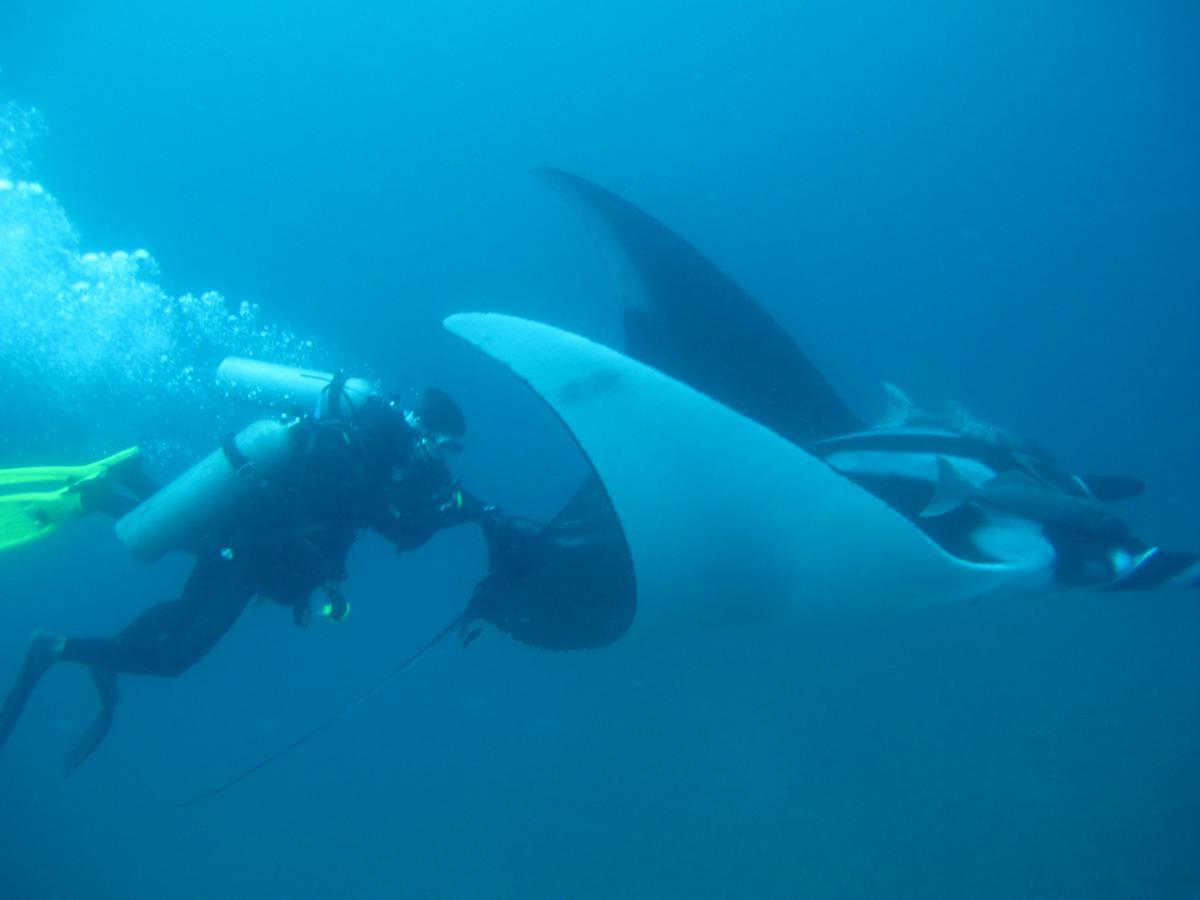 Mantaraya Lodge Puerto López 외부 사진